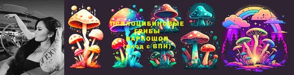 apvp Пролетарск