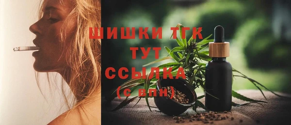стаф Протвино
