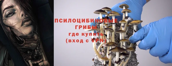 apvp Пролетарск
