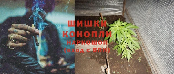 стаф Протвино