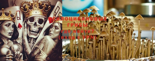 apvp Пролетарск