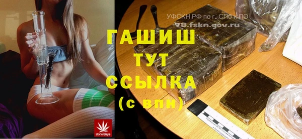 стаф Гатчина