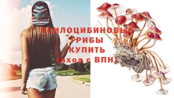 эйфоретик Приозерск