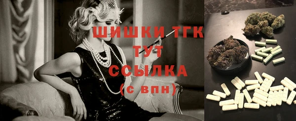 стаф Протвино