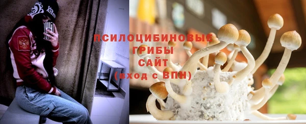 apvp Пролетарск